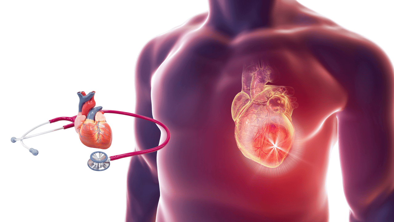 Cardiology Care