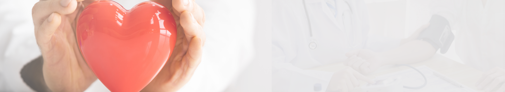 banner img