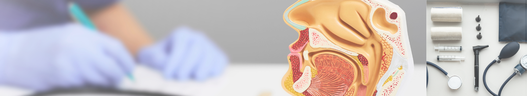 banner img